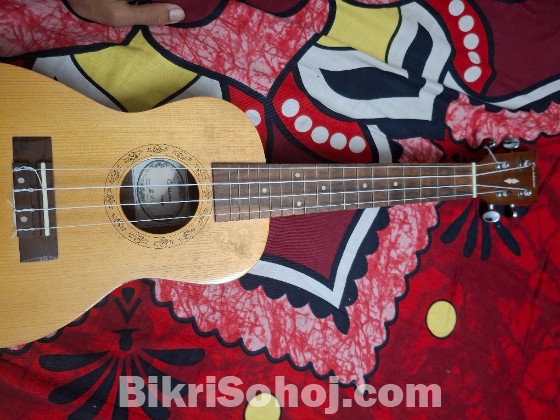 Custom Ukulele